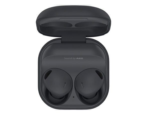 Geeignet für Samsung Galaxy Buds2 Pro